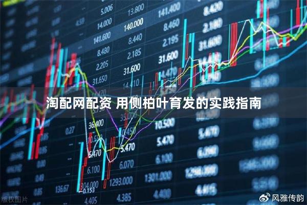 淘配网配资 用侧柏叶育发的实践指南