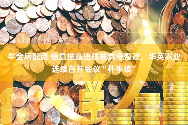 牛金所配资 信息披露违规被责令整改，华英农业连续召开会议“补手续”